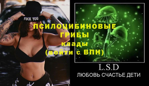MESCALINE Каменка