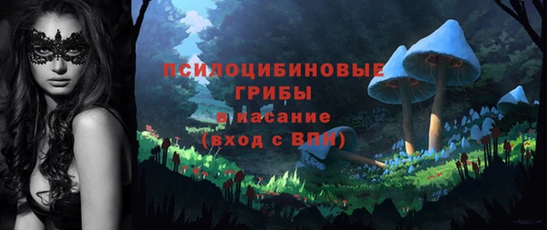 хмурый Каменск-Шахтинский